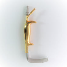 Cargar imagen en el visor de la galería, COMBO Fuente de luz LED 50W + cable de fibra óptica + valva iluminada